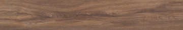 SI02 19,4х120х10 Непол.Рект. (Керамический гранит)_19