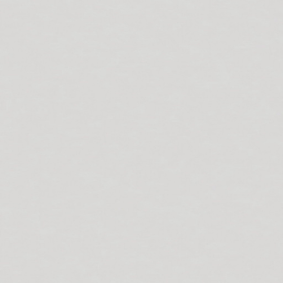 YC04 60x120x10 Неполированный