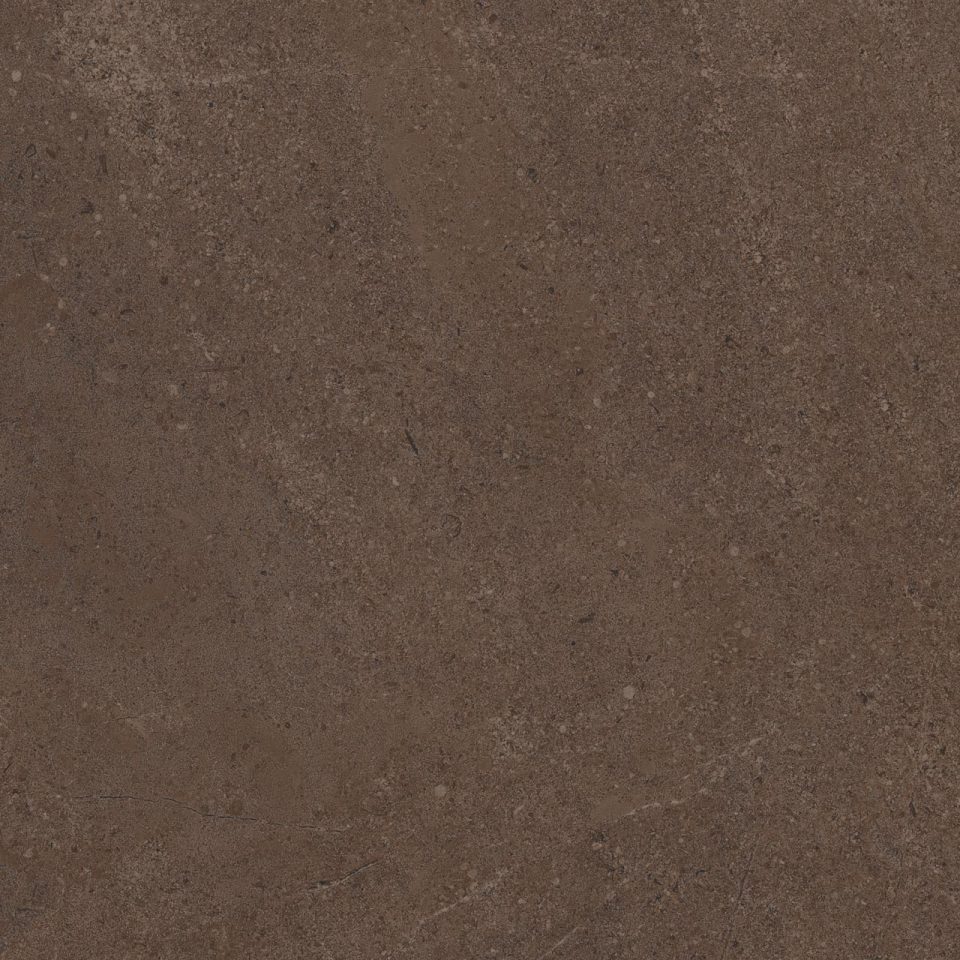 Керамогранит GO03 60x60x9 Непол.Рект. (Керамический гранит) #8