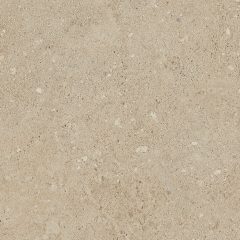 Керамогранит NP02 40,5x40,5x8 Непол. (Керамический гранит) (43,296 м2) #10
