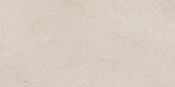 Керамогранит AEM00 60x120x9 Непол.Рект. (Керамический гранит) #2