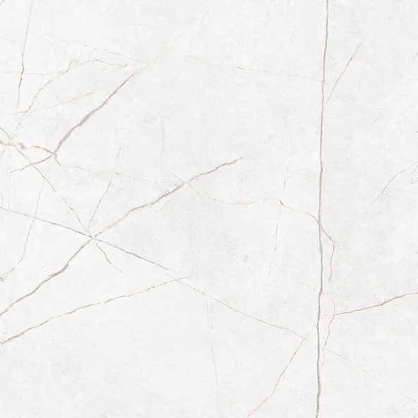 Керамогранит NL00 60x60x9 Полир. (Керамический гранит)-10