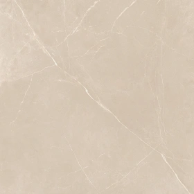 Керамогранит  NL00 60x60x9 Полир. (Керамический гранит) _2