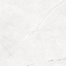 Керамогранит  EXM101 60x120x9 Непол.Рект. (Керамический гранит) _19