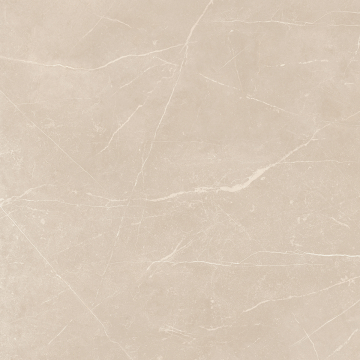 Керамогранит  CA01 60x60x9 Непол.Рект. (Керамический гранит) 