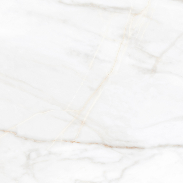 Керамогранит SM02 60x60x9 Непол.Рект. (Керамический гранит)-17