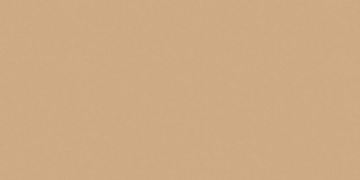 Керамогранит  RW10 60x120x10 Непол.Рект. (Керамический гранит) 