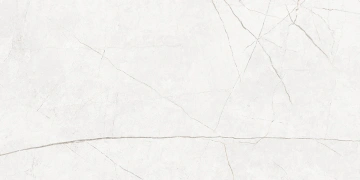 Керамогранит  NL04 60x120x10 Непол.Рект. (Керамический гранит) _4