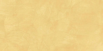 Керамогранит  MO03 40,5x40,5х8 Непол. (Керамический гранит) (43,296 м2) _3