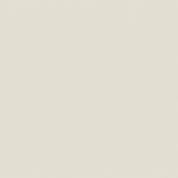 YC05 60x60 Непол.Рект. (Керамический гранит)