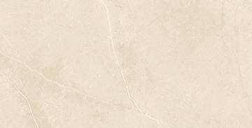 Керамогранит  BR04 60x120x10 Полир. (Керамический гранит) 