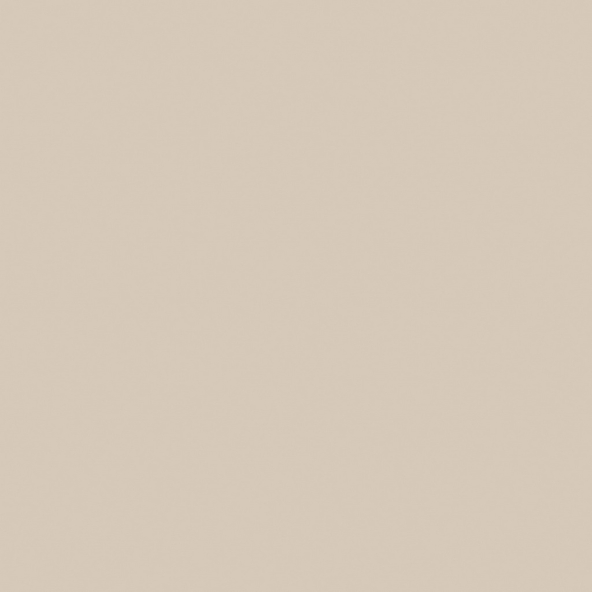 Керамогранит RW01 60x60x9 Непол.Рект. (Керамический гранит)-2