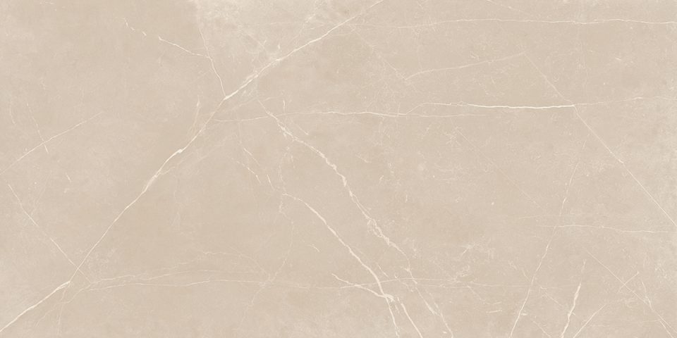 Керамогранит NL01 60x120x10 Полир. (Керамический гранит) #2