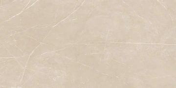 Керамогранит  NL00 60x120x9 Непол.Рект. (Керамический гранит) _5