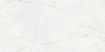Керамогранит  NL04 60x120x10 Непол.Рект. (Керамический гранит) _7