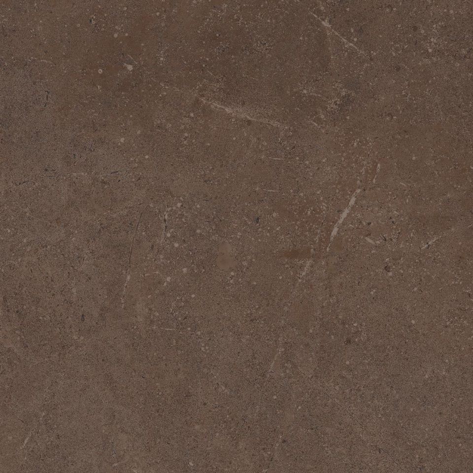Керамогранит GO03 60x60x9 Непол.Рект. (Керамический гранит) #5