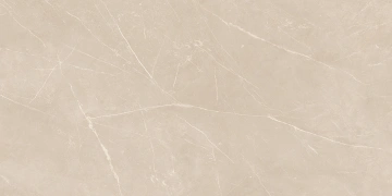 Керамогранит  NL00 60x120x9 Полир. (Керамический гранит) _8