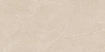 Керамогранит  NL01 60x120x9 Полир. (Керамический гранит) _5