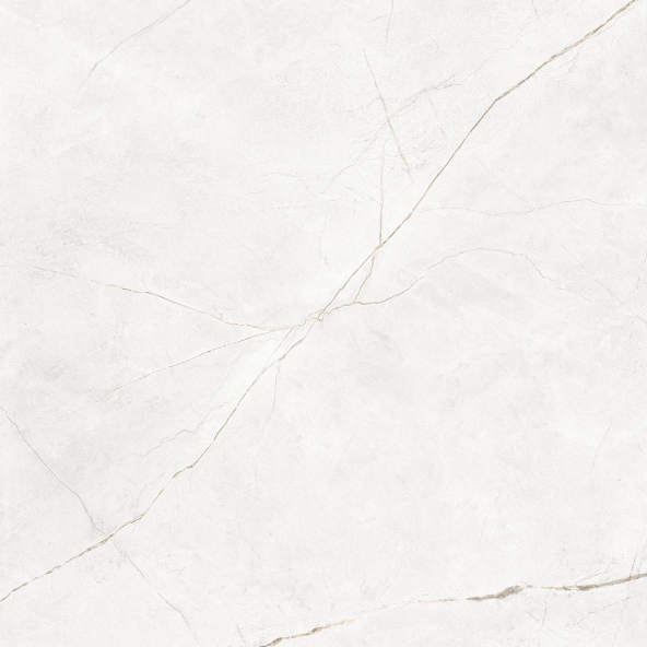 Керамогранит NL00 60x60x9 Полир. (Керамический гранит)-21
