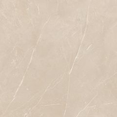 Керамогранит NL01 60x60x9 Полир. (Керамический гранит) #18