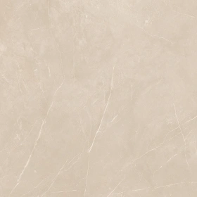 Керамогранит  NL00 60x60x9 Полир. (Керамический гранит) _15