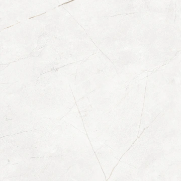 Керамогранит  NL04 60x60x9 Непол.Рект. (Керамический гранит) _1